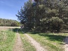 Michałów - urokliwa działka budowlana 5500 m2 - 3