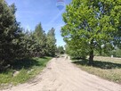 Michałów - urokliwa działka budowlana 5500 m2 - 10