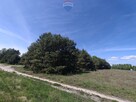 Michałów - urokliwa działka budowlana 5500 m2 - 11