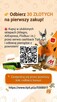 Poradnik: Jak kupować taniej na Allegro i AliExpress + Bonus - 2
