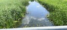 Działka na sprzedaż bez pośredników Dłużew gm. Siennica - 10