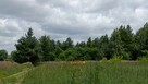 SPRZEDANE piękna działka na sprzedaż Rokitnica gm Łask - 12