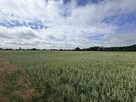 Działka inwestycyjna Wierzchucino gm. Krokowa, - 6