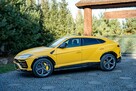 Lamborghini Urus 4.0 V8 / Bardzo bogate wyposażenie / PPF / Faktura / Opony Lato Zima - 5