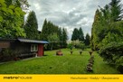 1615 m² - gotowy OGRÓD marzeń - Kamień - 10