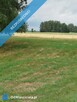 Działka z lasem i sadzawką, teren z potencjałem na siedlisko lub inwestycję, 3 km od Sokółki - 2