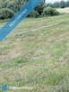 Działka z lasem i sadzawką, teren z potencjałem na siedlisko lub inwestycję, 3 km od Sokółki - 4