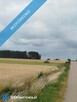 Działka z lasem i sadzawką, teren z potencjałem na siedlisko lub inwestycję, 3 km od Sokółki - 6
