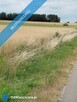 Działka z lasem i sadzawką, teren z potencjałem na siedlisko lub inwestycję, 3 km od Sokółki - 8