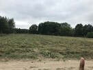 Działka 2000 m² rekreacyjna z MPZP – możliwość budowy domu - 6