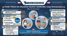 PRACA NA MAGAZYNIE ODZIEŻY MARKOWEJ: Umowa zlecenie - 2