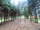 Działka budowlana Słabomierz gm. Radziejowice, - 4