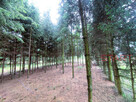 Działka budowlana Słabomierz gm. Radziejowice, - 5