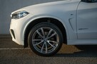 BMW X5 Harman Kardon | Komfortowe fotele | Wentylacja | Krajowy | FV 23 % - 15