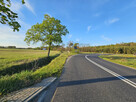 Działka inwestycyjna Zbrudzewo gm. Śrem, - 14
