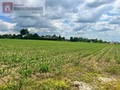 Działka budowlana Górna Wieś gm. Michałowice - 9