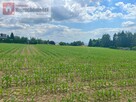 Działka budowlana Górna Wieś gm. Michałowice - 11
