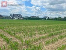 Działka budowlana Górna Wieś gm. Michałowice - 14