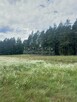 Duża działka 7 934 m2 w Plichcie, gm. Łukta - 4