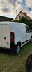 Fiat Fiorino - 1