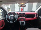 Fiat Panda 1.25 Benzyna | Serwisowany | Gwarancja | Bogate wyposażenie | - 11