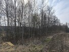 Działka budowlana Wodzisław Śląski, Kominka - 4
