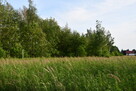 Działki 2 x 11a pod zabudowę - Rudna Mała - 9