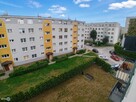 Mieszkanie Kielce Kielce - 11