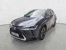 Lexus UX Poleasingowe.pl ECFM - 3