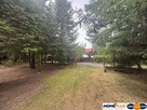 Klimatyczny murowany dom duża działka las rzeka - 14