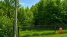 Działka budowlana Narew, - 3