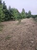 Działka rolno-budowlana 1,52 ha Dąbrowa gm. Ludwin - 2