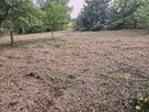 Działka rolno-budowlana 1,52 ha Dąbrowa gm. Ludwin - 3