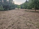 Działka rolno-budowlana 1,52 ha Dąbrowa gm. Ludwin - 6