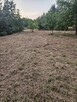Działka rolno-budowlana 1,52 ha Dąbrowa gm. Ludwin - 7