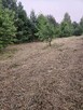 Działka rolno-budowlana 1,52 ha Dąbrowa gm. Ludwin - 8