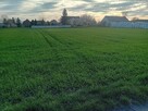 Dzialka budowlana-rolna - 3