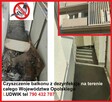 Czyszczenie sprzątanie po gołębiach - 2