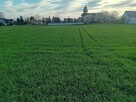 Dzialka budowlana-rolna - 5