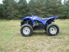 Quad ATV Yamaha Wolverine 450 4x4 przeprawowo-sportowy 4WD r - 2