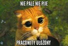 Szukasz pracownika bez nałogów napisz!