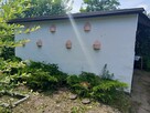 Dzialka w Ogrodzie Rodzinnym Radom Jarzębinka - 9