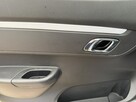 Dacia Spring Expression - 13