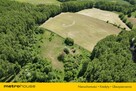 Wyjątkowa działka po dawnym siedlisku - 6