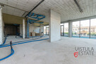 Lokal witrynowy na parterze 210 m2 - 2