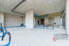 Lokal witrynowy na parterze 210 m2 - 3