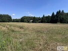 Działka rolno-budowlana Kupienin gm. Mędrzechów - 2