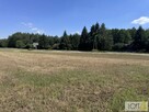 Działka rolno-budowlana Kupienin gm. Mędrzechów - 3