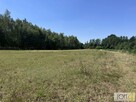 Działka rolno-budowlana Kupienin gm. Mędrzechów - 5