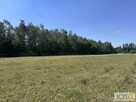 Działka rolno-budowlana Kupienin gm. Mędrzechów - 7